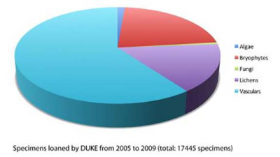 17445 specimens loaned by Duke from 2005 to 2009