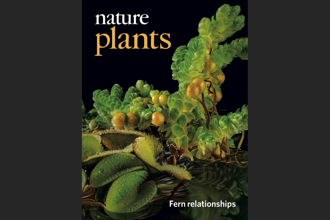 cover of Nature Plants magazine